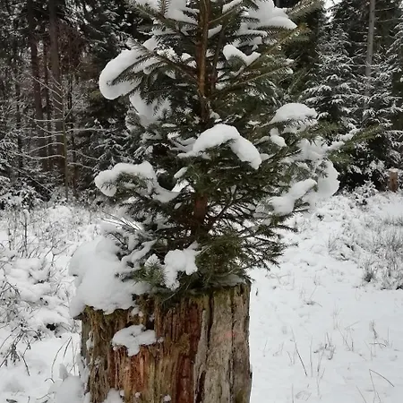 شقة Ihle Altenberg