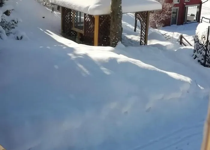 Апартаменты Ihle